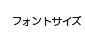 フォントサイズ
